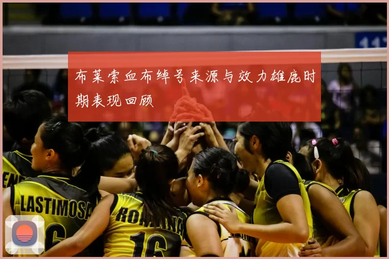 布莱索血布绰号来源与效力雄鹿时期表现回顾